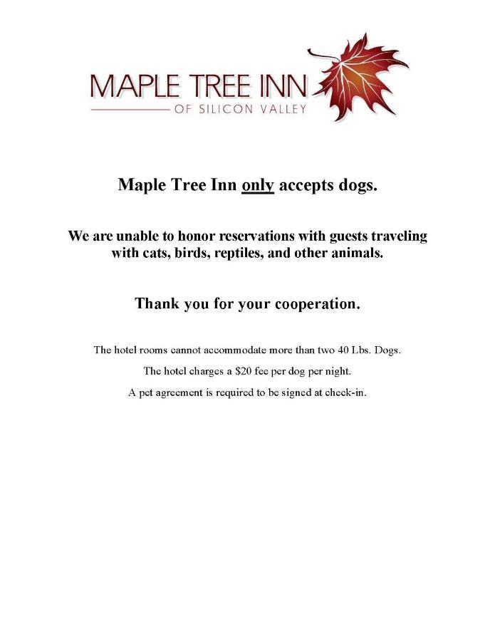 Maple Tree Inn Sunnyvale Eksteriør billede