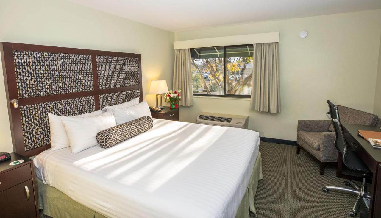 Maple Tree Inn Sunnyvale Eksteriør billede